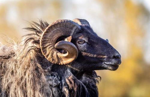 Stuv am Spieker - Foto 23