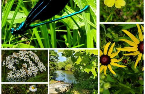 Rustic A-Frame Cabin in the Lush Woodlands of Grubville, Missouri - Foto 14