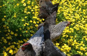 Naturesbase Lodge - Photo 38