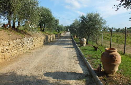 Agriturismo Ai Mandrioli - Foto 27