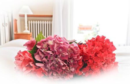 Isola Bella - Foto 34