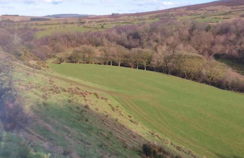 Ardagh Cottage Secluded in Glenshesk near Ballycastle - Foto 34