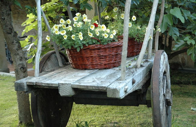 Os Migueliños - Foto 26