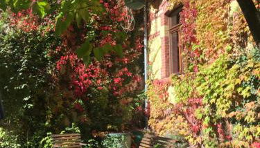 Ferienwohnung Huttenstraße Halle - Foto 2, Garden