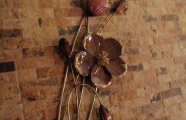 Varandas da Serra - Foto 3