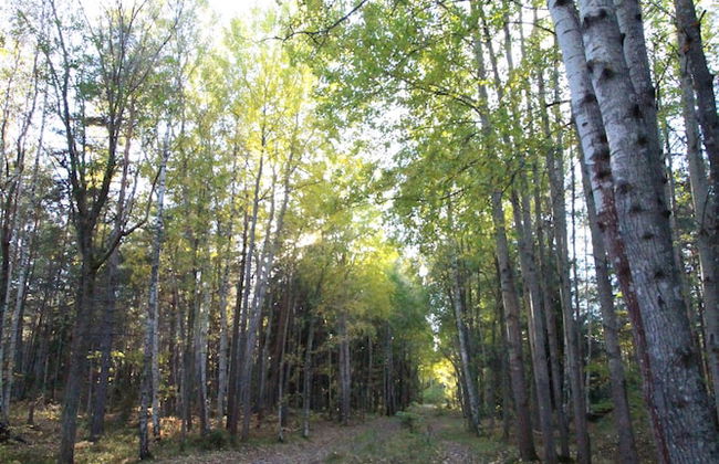 The Sundeck-a romantic apt in Tallkrogen - Photo 21