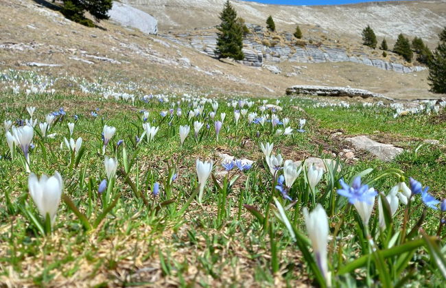 Belvilla by OYO Pleasant Holiday Home With Garden - Foto 32