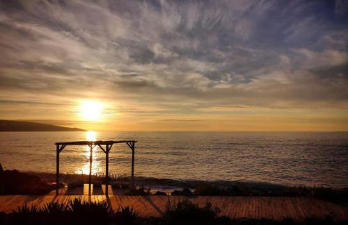 Beach & Surf - Photo 1