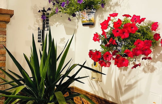 Al-Mudawar Casa Rural - Foto 53