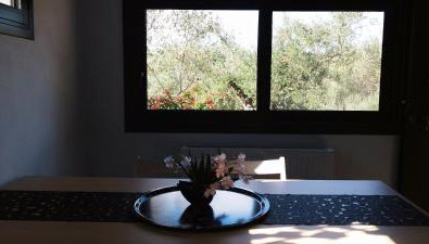 LIOFYTO - Stylish Villa with views to Foinikounda bay downstairs studio - Foto 3