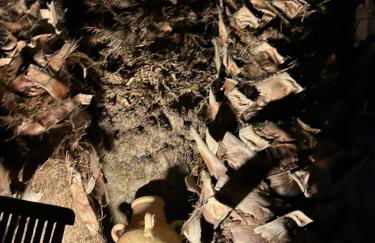 Villa Rosa - Foto 62