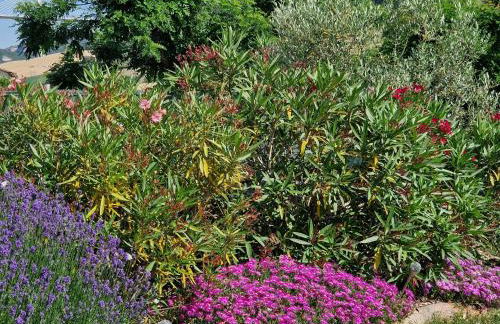 Gîte de Ségonac - Foto 8