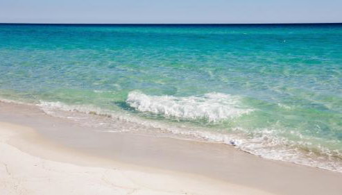 Our Destiny - Foto 2