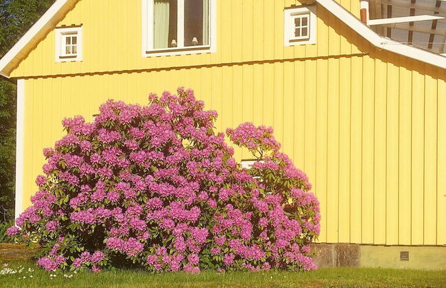 4 Person Holiday Home in Overum - Foto 21