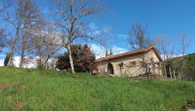 Los Prejones - Foto 4