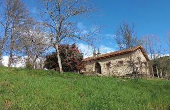 Los Prejones - Photo 4