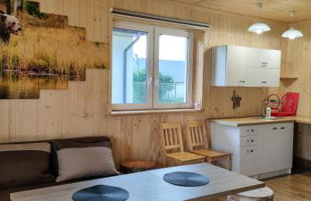 Domki - Noclegi Pod Ostrym Działem - Foto 52