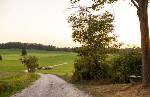 Vogelbauer Apartments - Foto 16