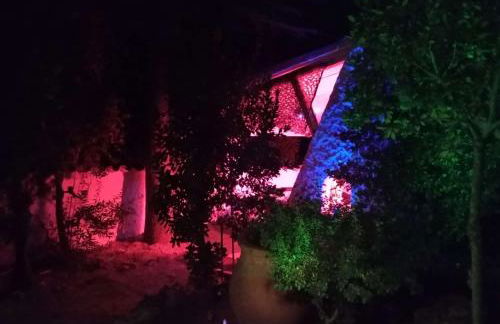 La Tiná Nueva - Foto 62