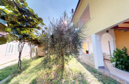 Apartments Goga - Foto 5