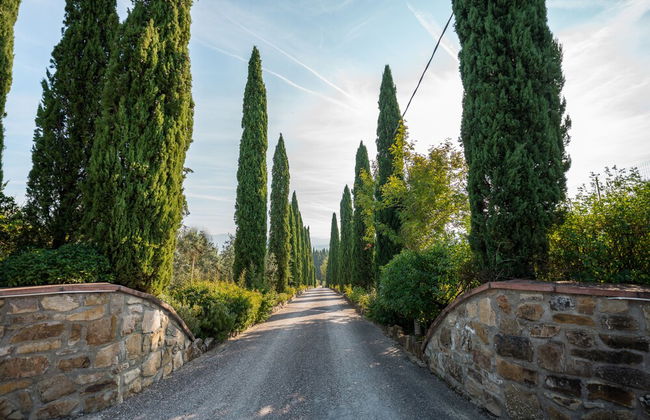 Agriturismo Vecchio Borgo di Inalbi - Photo 27