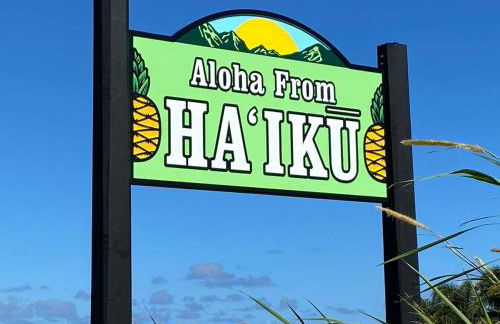 Lucy Fan Ohana - Photo 40