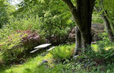 Pinewood Lodge - Foto 30