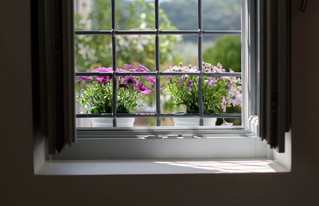 Traditional Guest House Grandma Vitsas - Foto 2