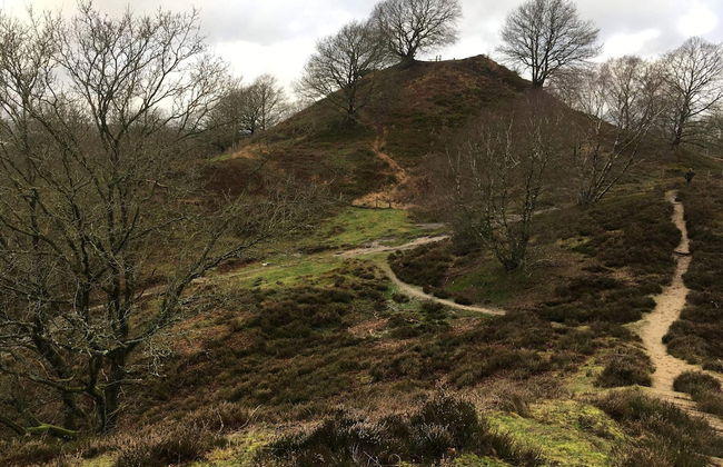 4 Person Holiday Home in Silkeborg-by Traum - Foto 10