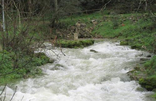 Casa do Jorge - Foto 49