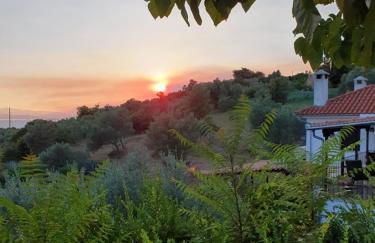 Villa Panorama Garden Chorto - Foto 23