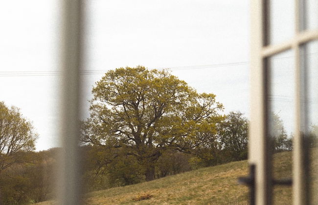 Dog Friendly Shepherd's Hut, Perfect for Couples - Photo 28
