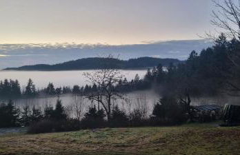 Ferienwohnung Waldidyll - Foto 18