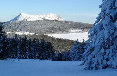 Maison de campagne atypique à Tence - Foto 24