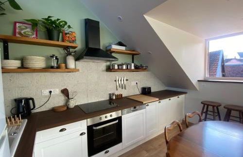 Grand T1 familial, vidéoprojecteur et superbe vue ! - Photo 4