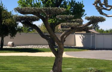 Le Vieux Platane - Foto 4