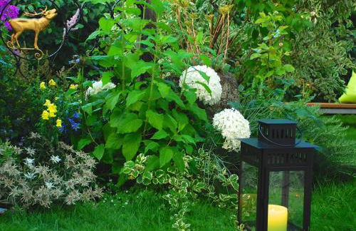 Hubertus Apartments - Foto 48