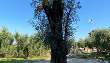 Casa Vacanze La Selva - Foto 2