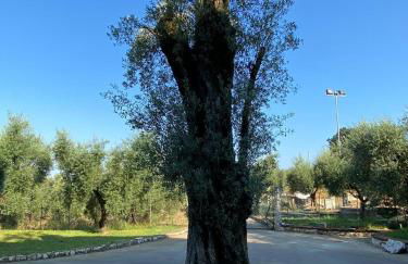 Casa Vacanze La Selva - Foto 2