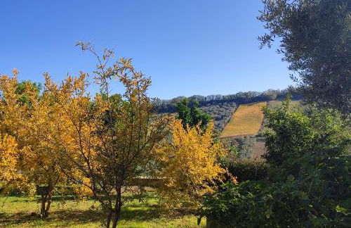 La Casa di Stefania LOFT - Foto 35