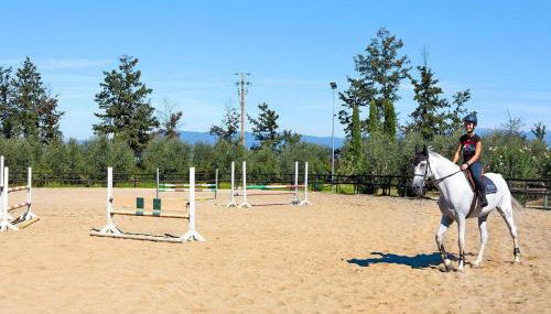 Hesse Farm Holiday Borgo Pinete - Foto 4, Other