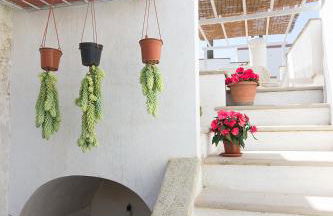 Casa Lucia - Foto 25