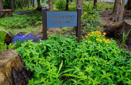 Heilan Roo - Foto 64