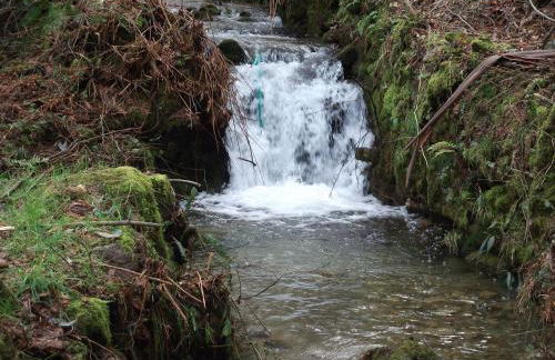 Quinta dos Caibrais - Foto 49