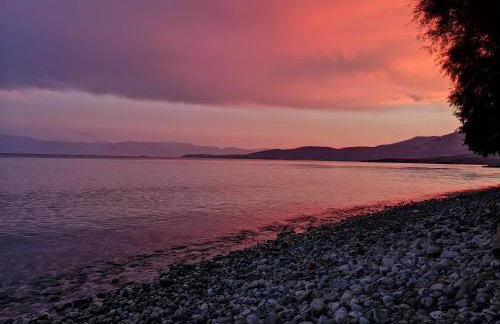 Garden apartment 20m from the sea - Photo 29