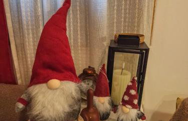 Dorina hiža - Foto 60