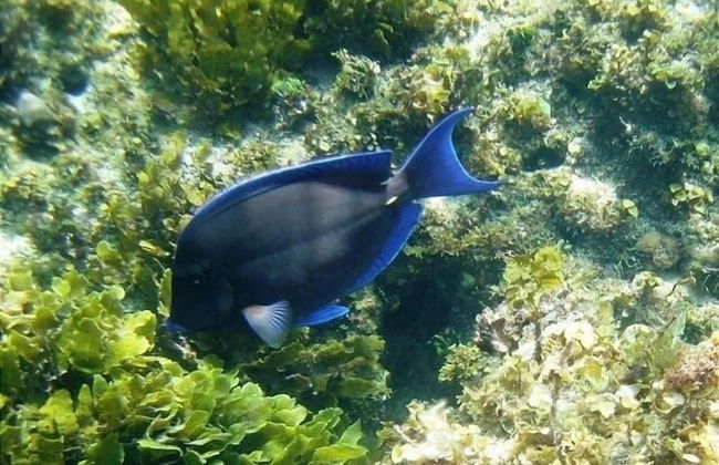 Coconut Point 3 Bedroom Home - Foto 20