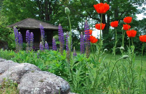 Experience the Rocks Estate like never before with a stay at the Gardeners Cottage! - Foto 37