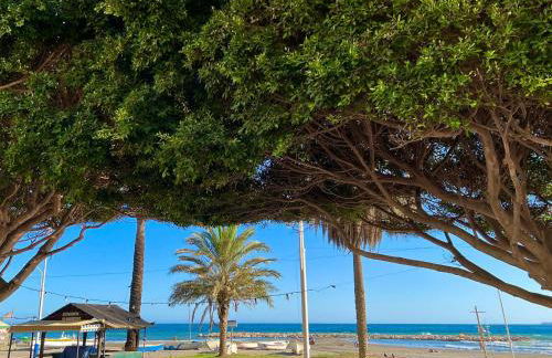 Relax , Sun And Beach - Photo 6