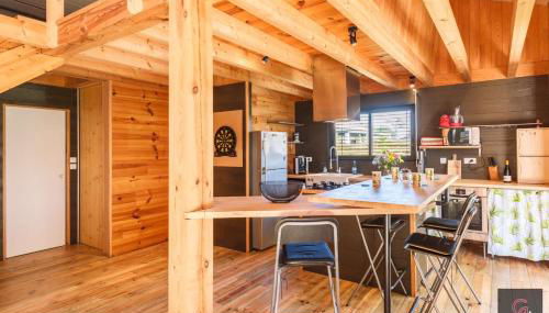 Gastes, Charmant chalet en bois avec Jacuzzi 6 pers - Foto 5